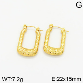 Stainless Steel Earrings  2E2001833vajj-689