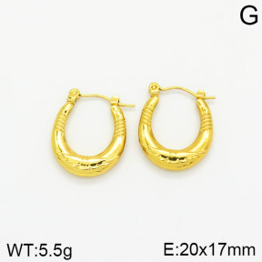 Stainless Steel Earrings  2E2001834vajj-689