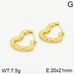 Stainless Steel Earrings  2E2001839vajj-689