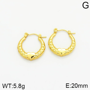 Stainless Steel Earrings  2E2001844vajj-689