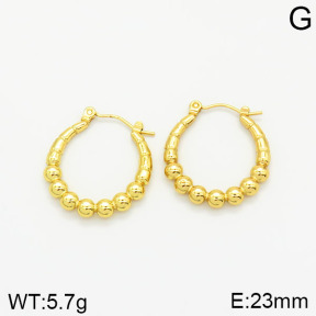 Stainless Steel Earrings  2E2001846vajj-689