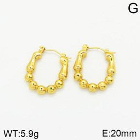 Stainless Steel Earrings  2E2001850vajj-689