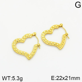 Stainless Steel Earrings  2E2001851vajj-689