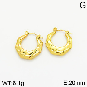 Stainless Steel Earrings  2E2001852vajj-689