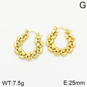 Stainless Steel Earrings  2E2001854vajj-689