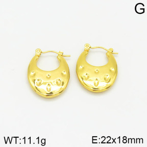 Stainless Steel Earrings  2E2001856vajj-689