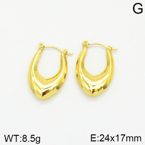 Stainless Steel Earrings  2E2001860vajj-689