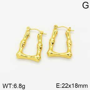 Stainless Steel Earrings  2E2001861vajj-689