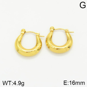 Stainless Steel Earrings  2E2001863vajj-689