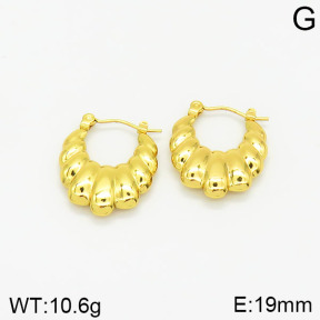 Stainless Steel Earrings  2E2001864vajj-689