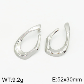 Stainless Steel Earrings  2E2001891vbnb-493