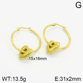 Stainless Steel Earrings  2E2001904abol-493