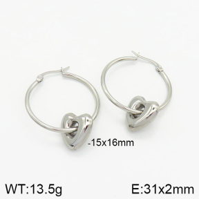 Stainless Steel Earrings  2E2001905vbnl-493