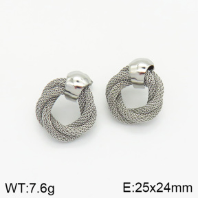 Stainless Steel Earrings  2E2001913vbpb-493