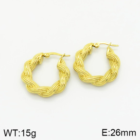 Stainless Steel Earrings  2E2001914bhva-493