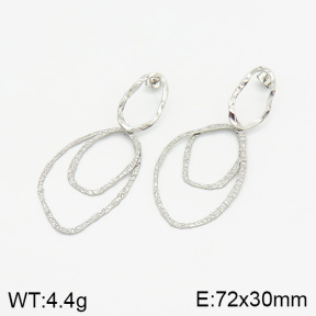 Stainless Steel Earrings  2E2001919bhva-493