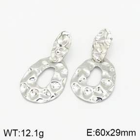 Stainless Steel Earrings  2E2001921bbov-493