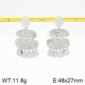 Stainless Steel Earrings  2E2001922bhia-493