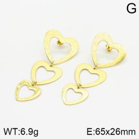 Stainless Steel Earrings  2E2001925bhva-493