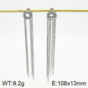 Stainless Steel Earrings  2E2001932bhva-493