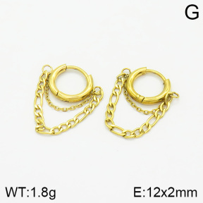Stainless Steel Earrings  2E2001953vbnb-493
