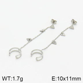 Stainless Steel Earrings  2E2001956bbov-493