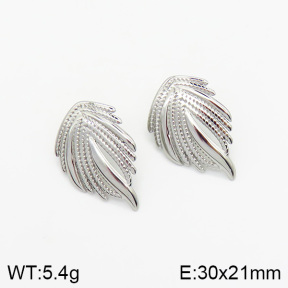 Stainless Steel Earrings  2E2001960vbnb-493
