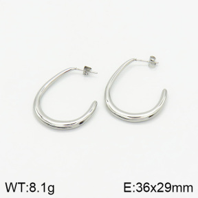 Stainless Steel Earrings  2E2001966vbnb-493