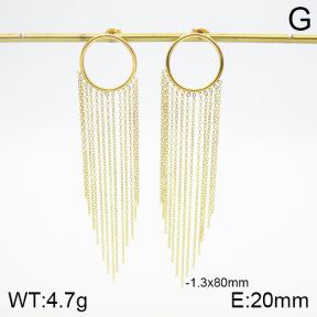 Stainless Steel Earrings  2E2001971bhva-493