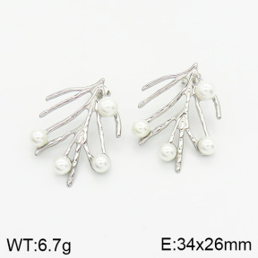 Stainless Steel Earrings  2E3001330bbov-493