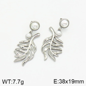 Stainless Steel Earrings  2E3001333bbov-493