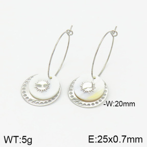 Stainless Steel Earrings  2E3001335vbpb-493