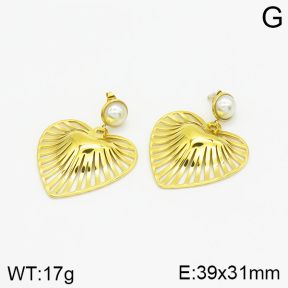 Stainless Steel Earrings  2E3001336vhha-493