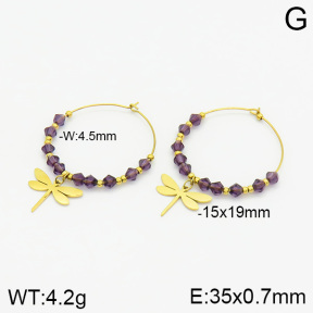 Stainless Steel Earrings  2E4002181ahjb-493