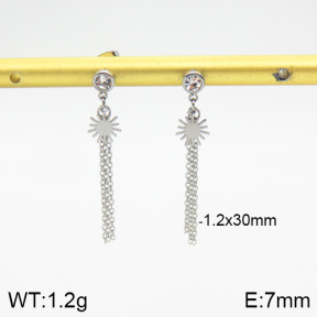 Stainless Steel Earrings  2E4002191vbnb-493