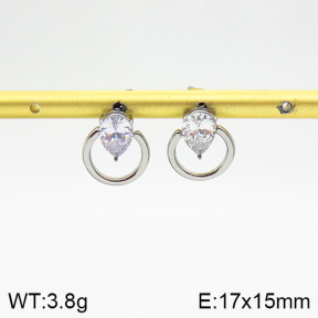 Stainless Steel Earrings  2E4002194vbmb-493