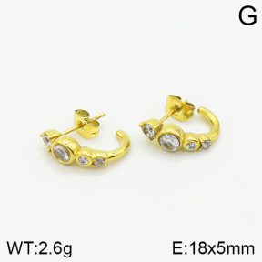 Stainless Steel Earrings  2E4002195bbov-493