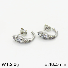 Stainless Steel Earrings  2E4002196vbnb-493