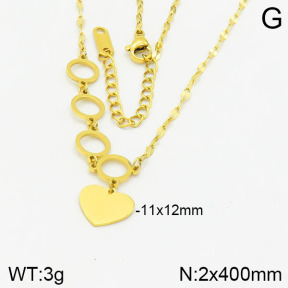 Stainless Steel Necklace  2N2002835bbov-617