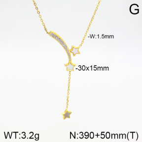 Stainless Steel Necklace  2N3001125vbnl-749