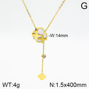 Stainless Steel Necklace  2N3001126abol-749