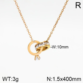 Stainless Steel Necklace  2N4001790vbpb-617