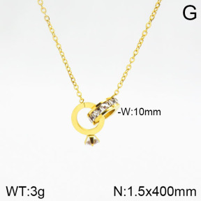 Stainless Steel Necklace  2N4001791vbpb-617