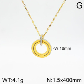 Stainless Steel Necklace  2N4001802vbnb-749