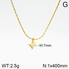 Stainless Steel Necklace  2N4001807vbmb-749