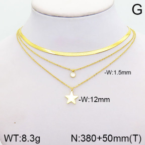 Stainless Steel Necklace  2N4001828vbpb-749