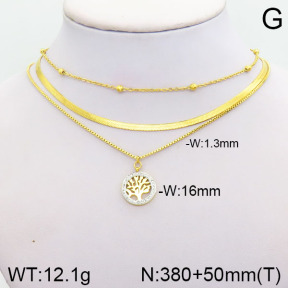 Stainless Steel Necklace  2N4001829vbpb-749