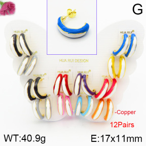 Fashion Copper Earrings  F2E300461vhmv-K01