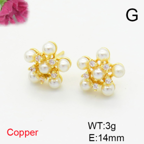 Fashion Copper Earrings  F6E301683bhva-L036
