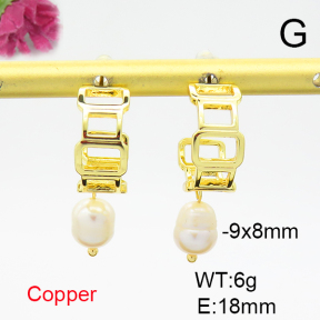 Fashion Copper Earrings  F6E301703ahjb-L036
